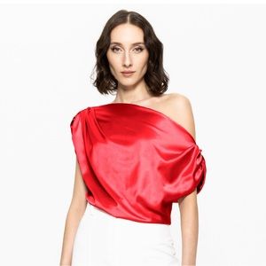 NWT Wolf and Badger top